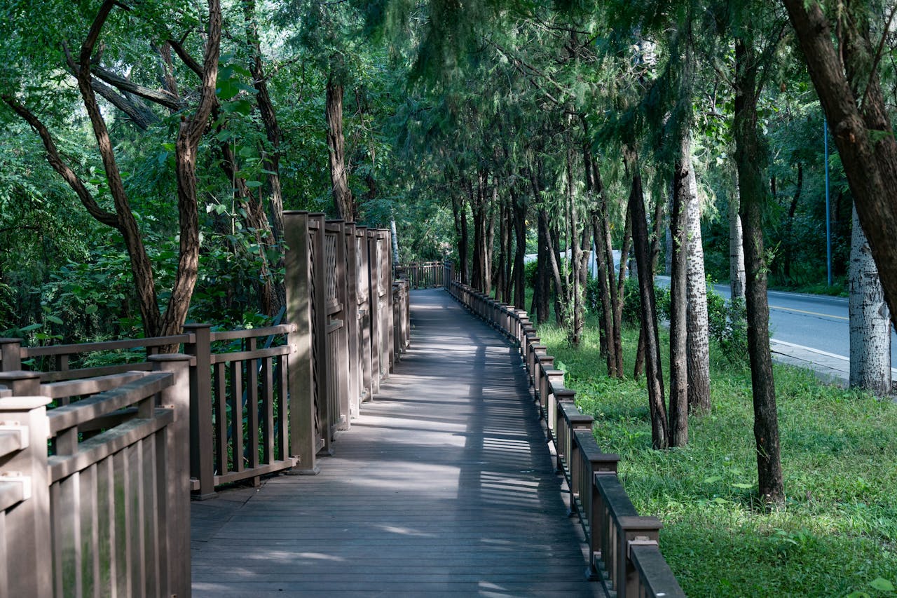 A peaceful walkway in a lush green forest, perfect for a tranquil outdoor escape.